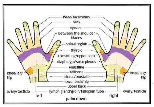 Reflexology Hand Chart