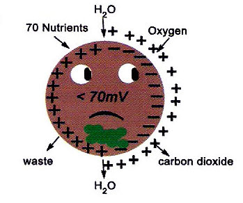 Positive Potential Energy